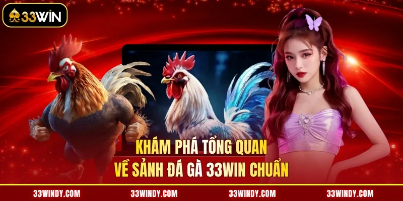 Khám phá tổng quan về sảnh đá gà 33win chuẩn